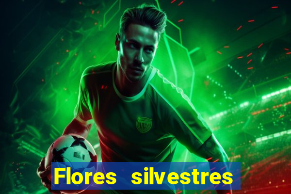 Flores silvestres brasileiras brasileiras flores silvestres nomes e imagens